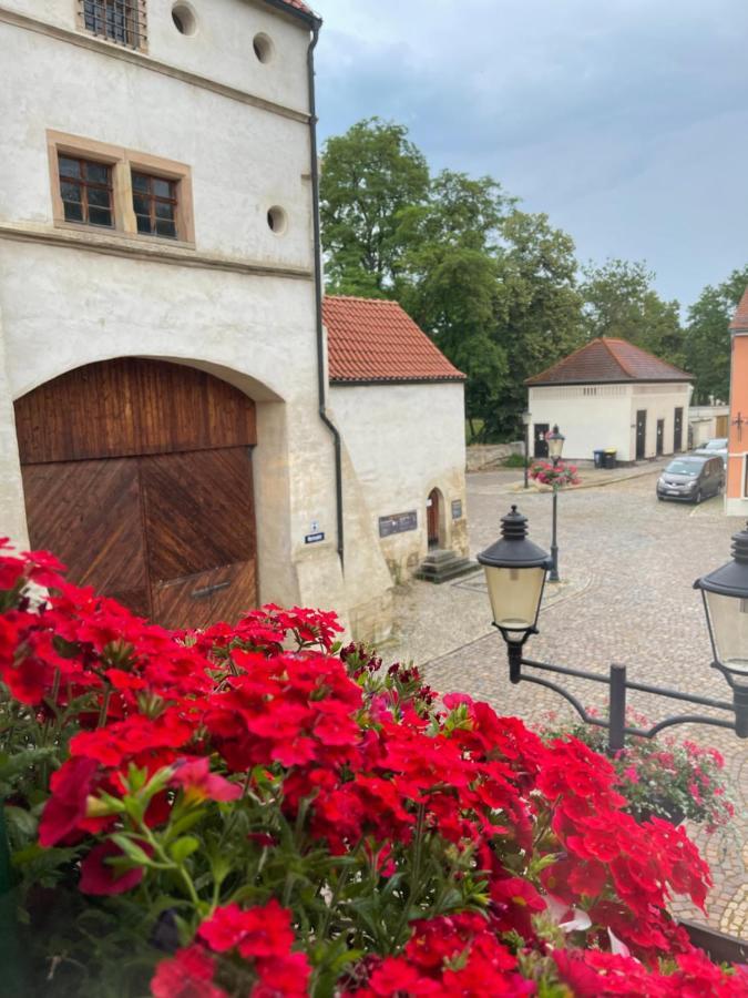 Pension Alt Naumburg Naumburg (Saale) Exterior foto